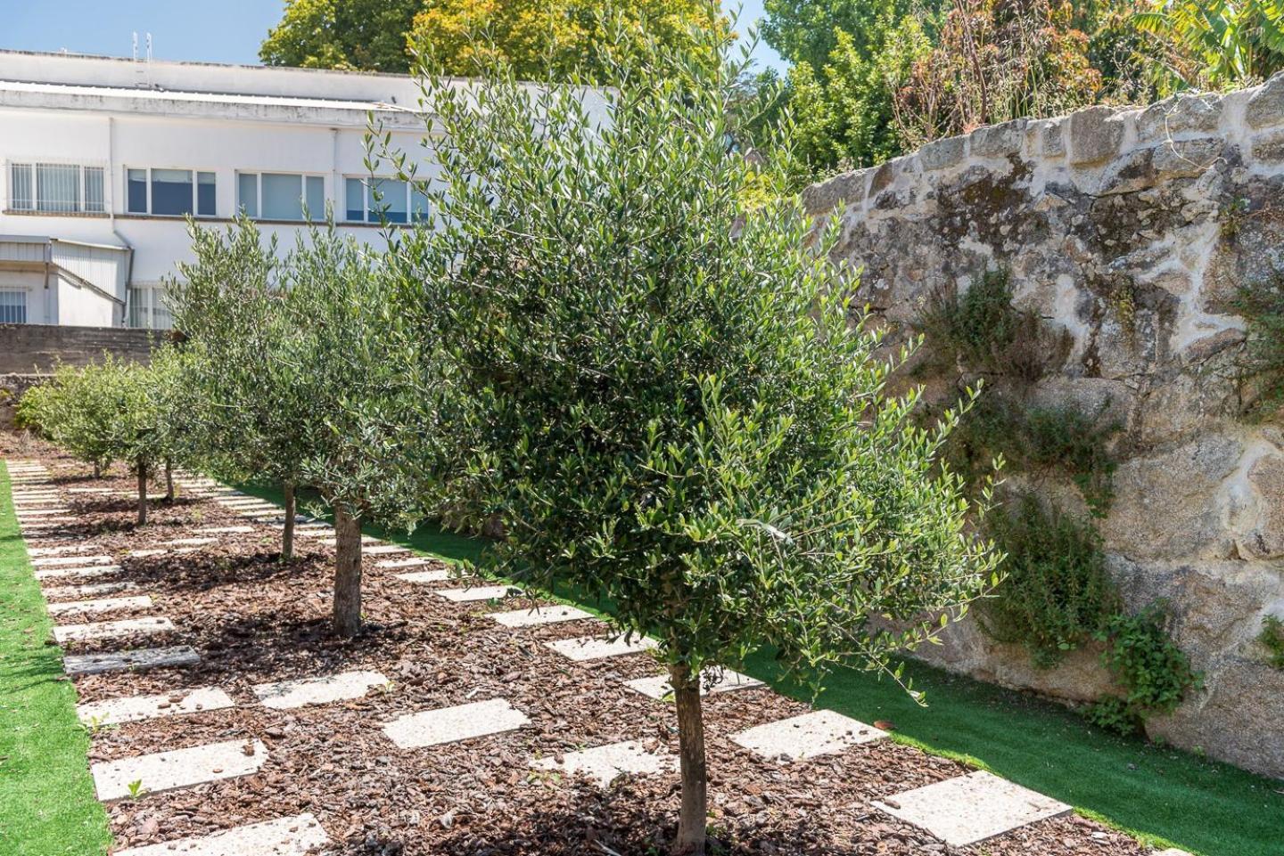 Guestready - Jardim Das Oliveiras Guesthouse - 2 ปอร์โต ภายนอก รูปภาพ